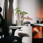 Tips for Creating a Relaxing Home Office Environment