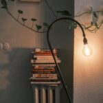 Tips for Creating a Cozy Reading Nook in Your Home